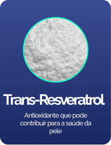 trans-1.png